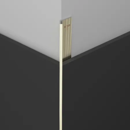 nickelsilverstraightline-corner-protection-trims-c-y1